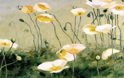 花卉