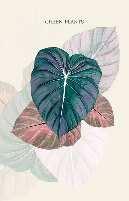 花卉