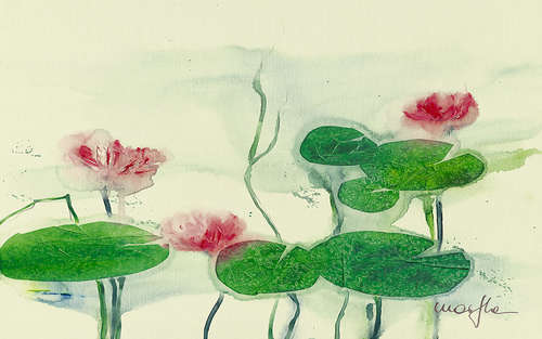 花卉
