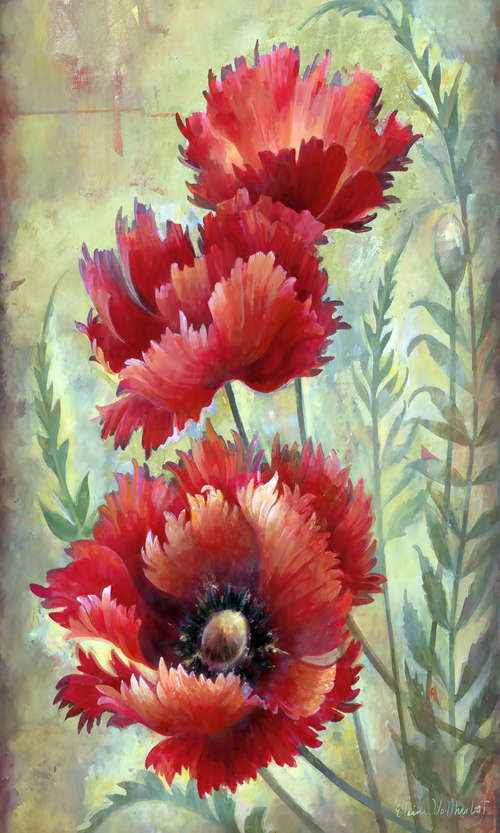 花卉
