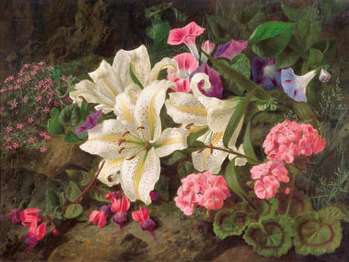 花卉