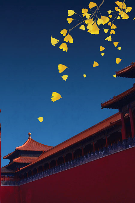 新中式