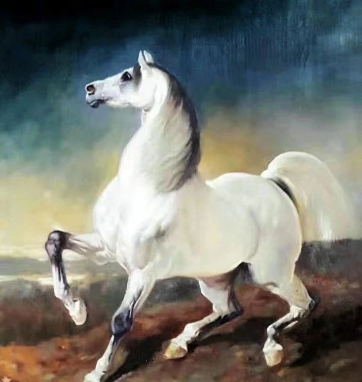 1570766415945369.jpg