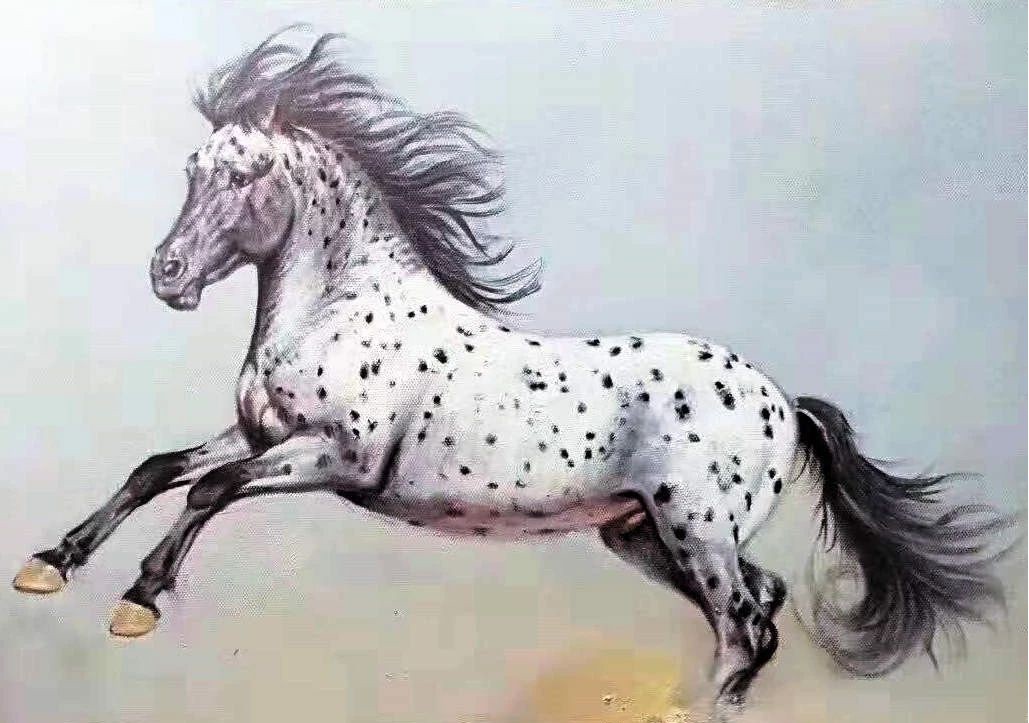 1570766417323203.jpg