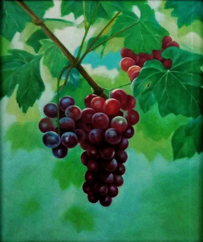 1571196502679498.jpg